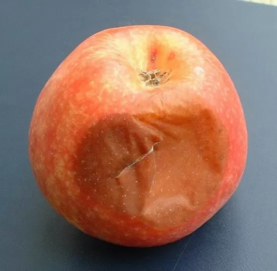 fruta podrida sueño